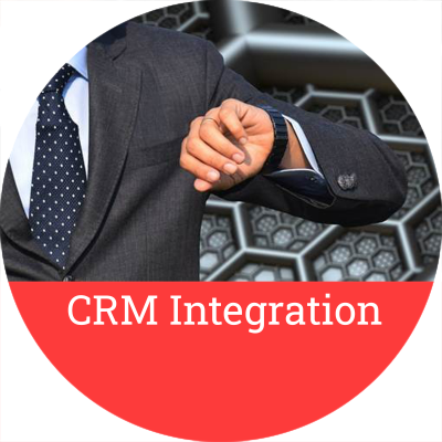 Custom CRM Integration
